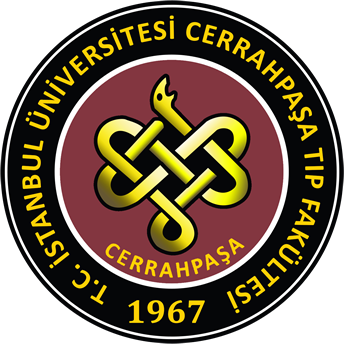 CTF Logo